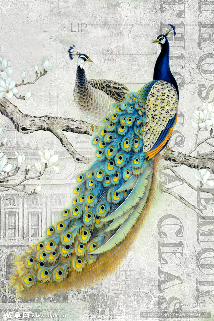 孔雀装饰画