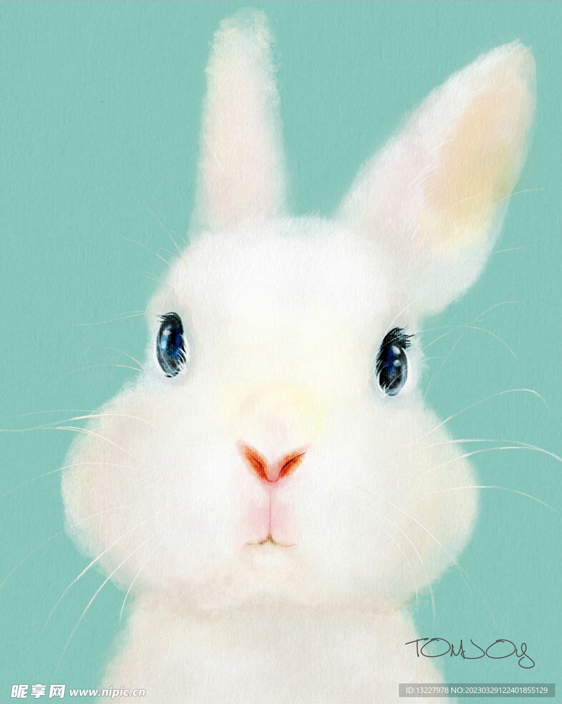 小兔子 装饰画