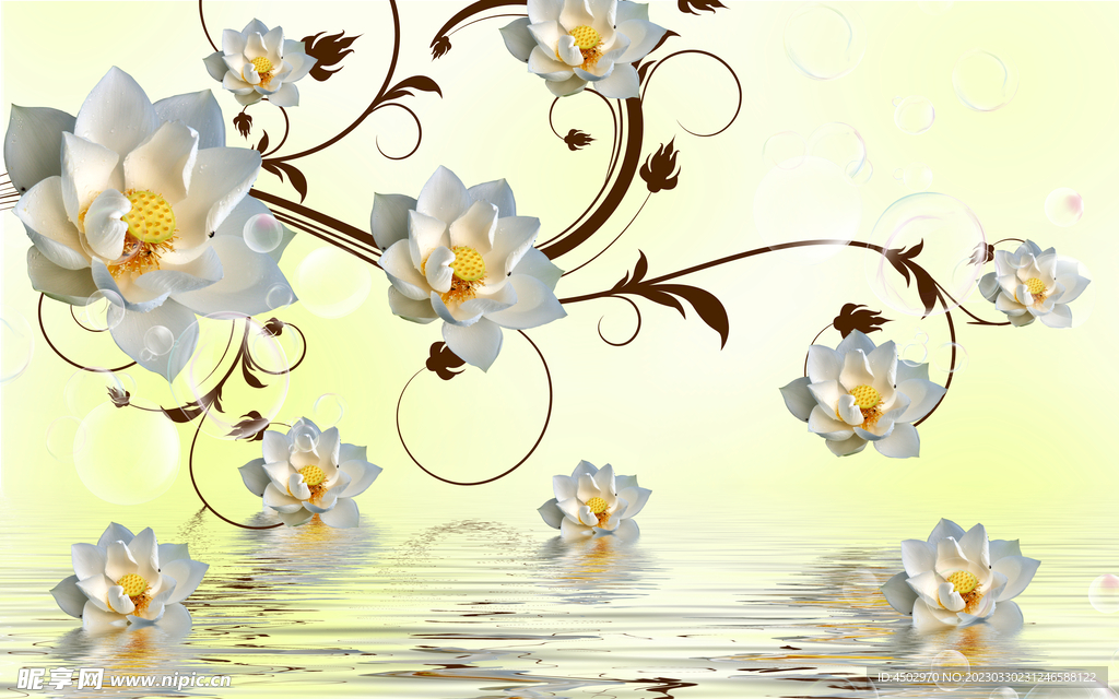 白玉兰背景素材