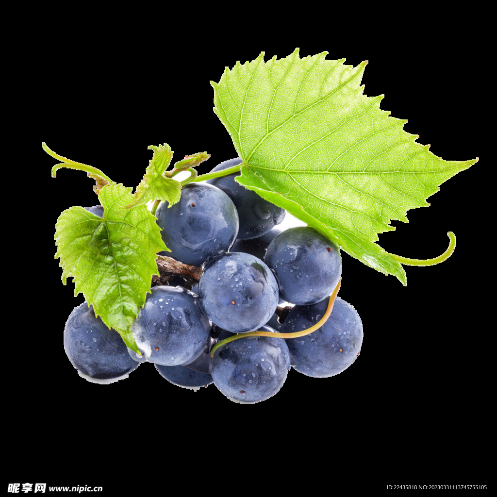 葡萄PNG免抠素材