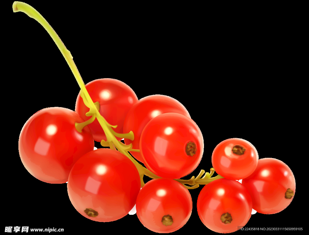 红豆PNG免扣素材