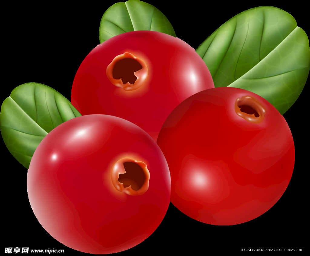 红色蔓越莓果子PNG免扣素材
