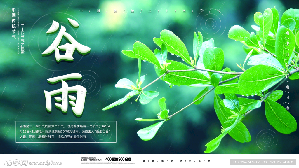 谷雨宣传
