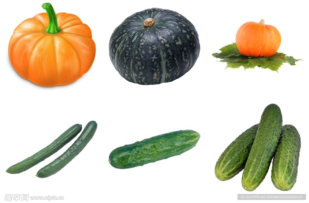 南瓜和黄瓜