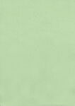 绿色皮纹纸  卡纸 
