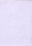 紫色纹路纸