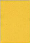 黄色皮纹纸