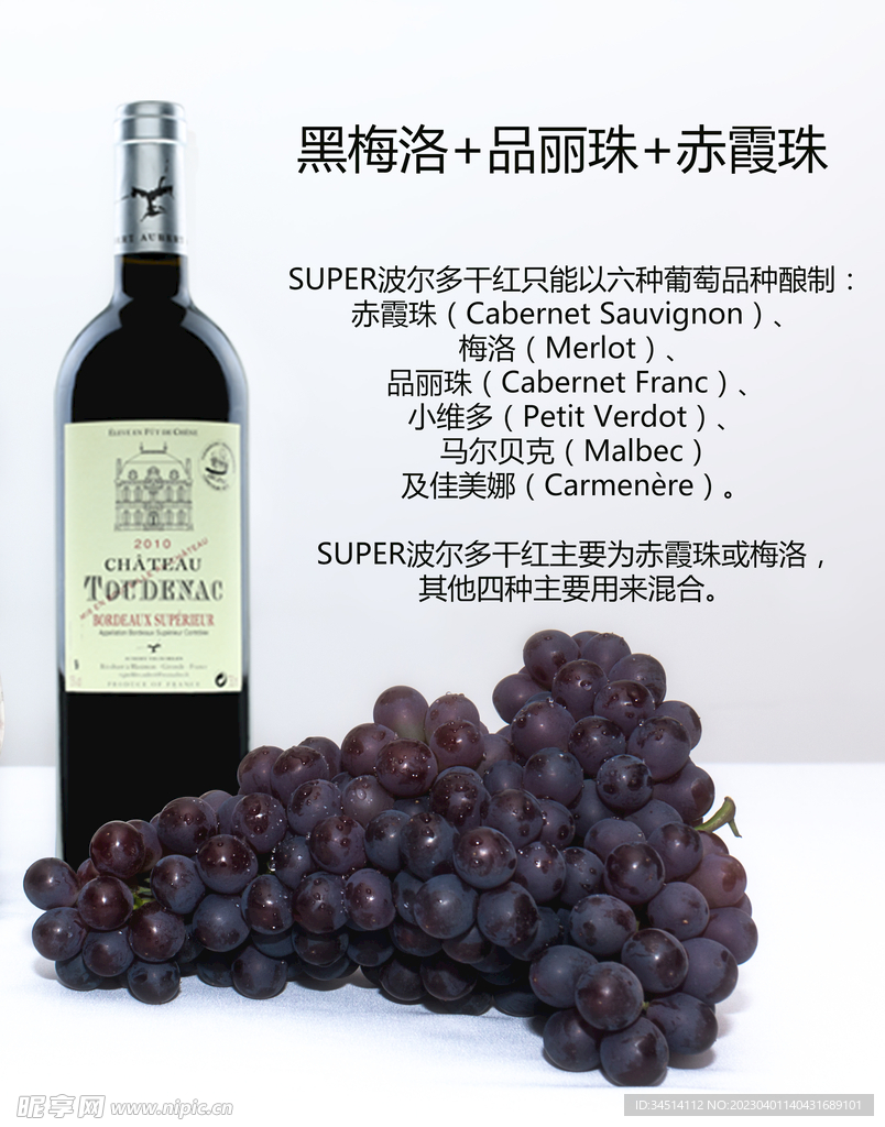 葡萄酒海报