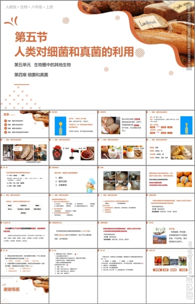 人类对细菌和真菌的利用