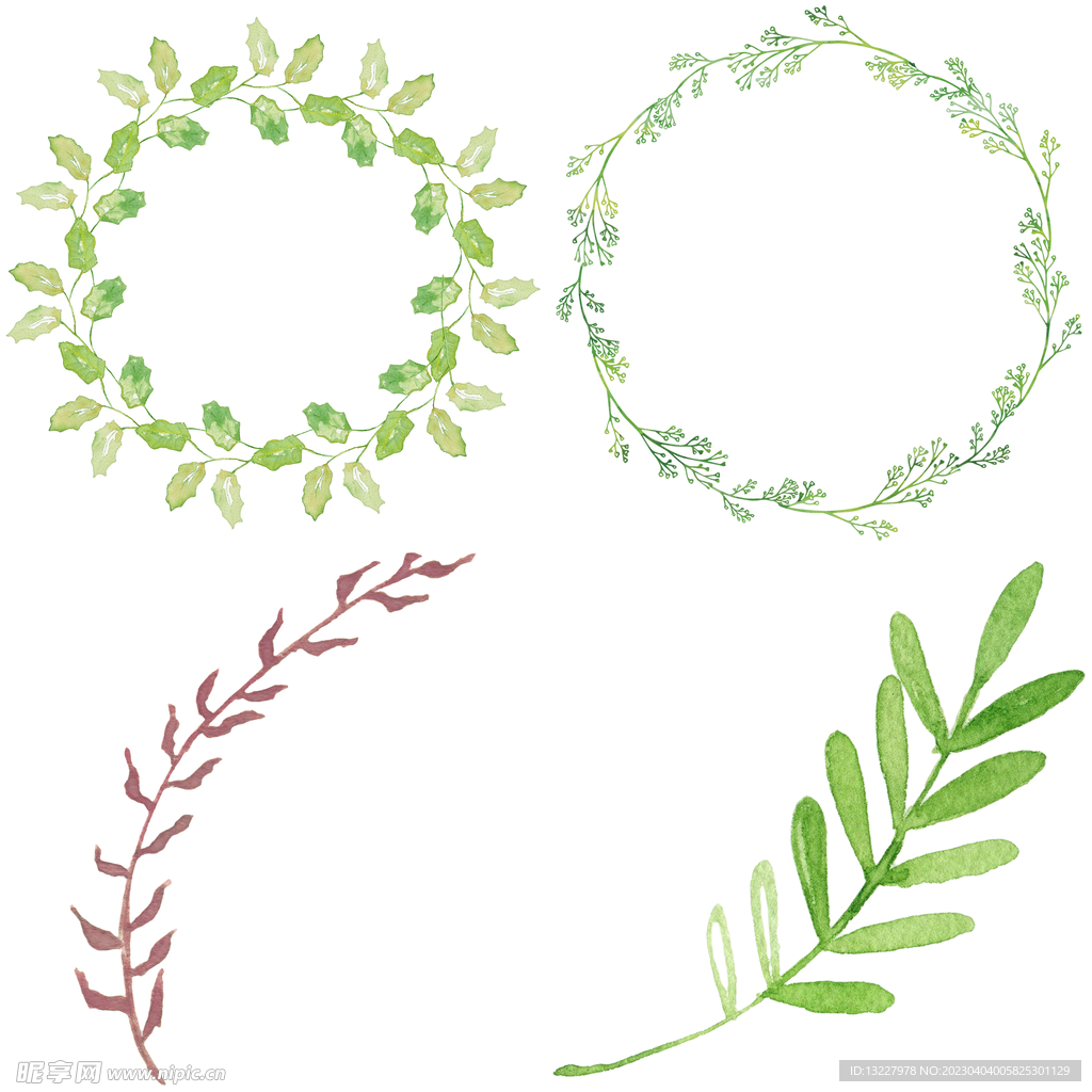 手绘叶子藤蔓  