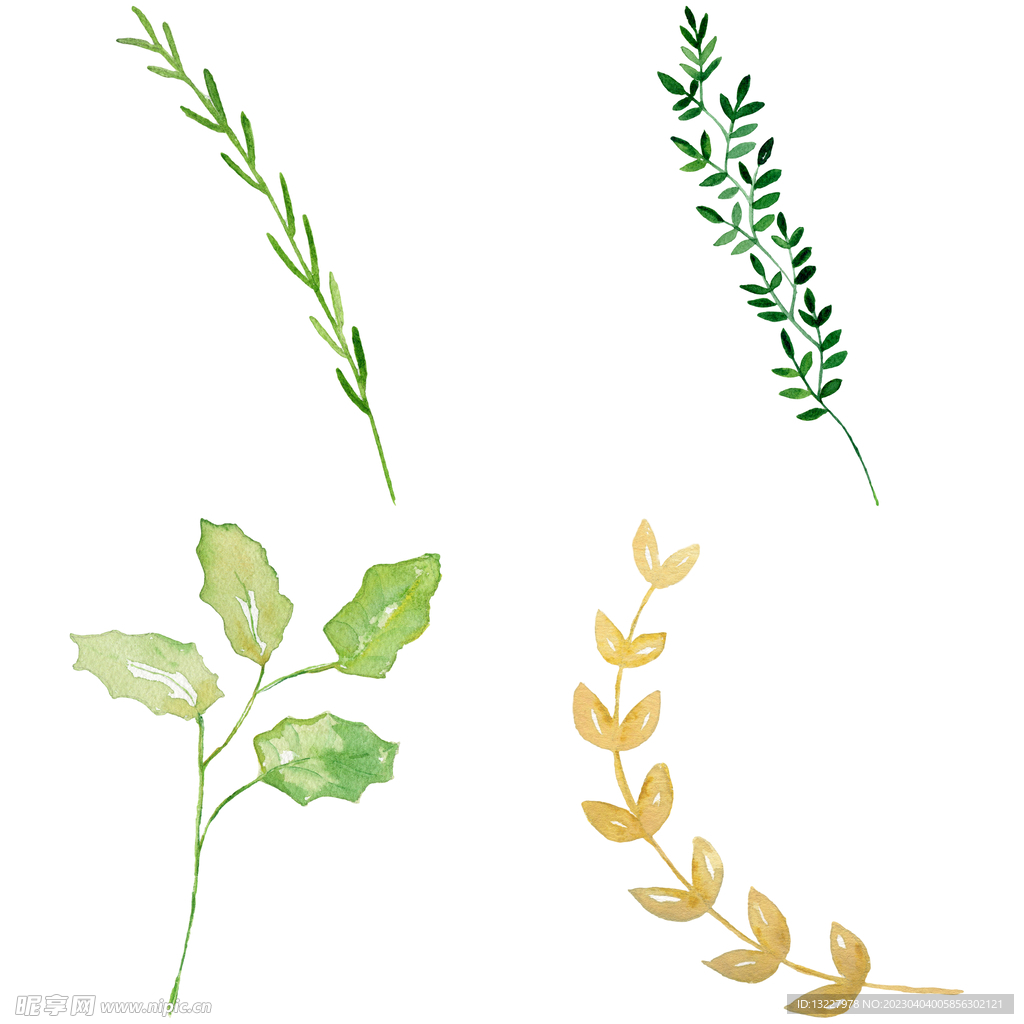 手绘叶子藤蔓  