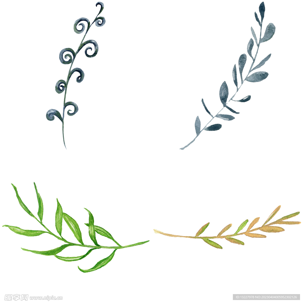 手绘叶子藤蔓  