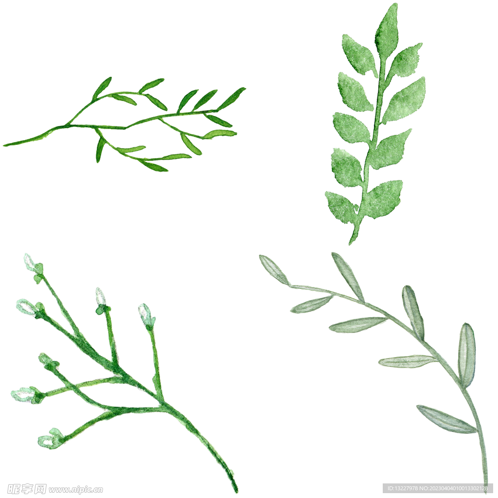 手绘叶子藤蔓  