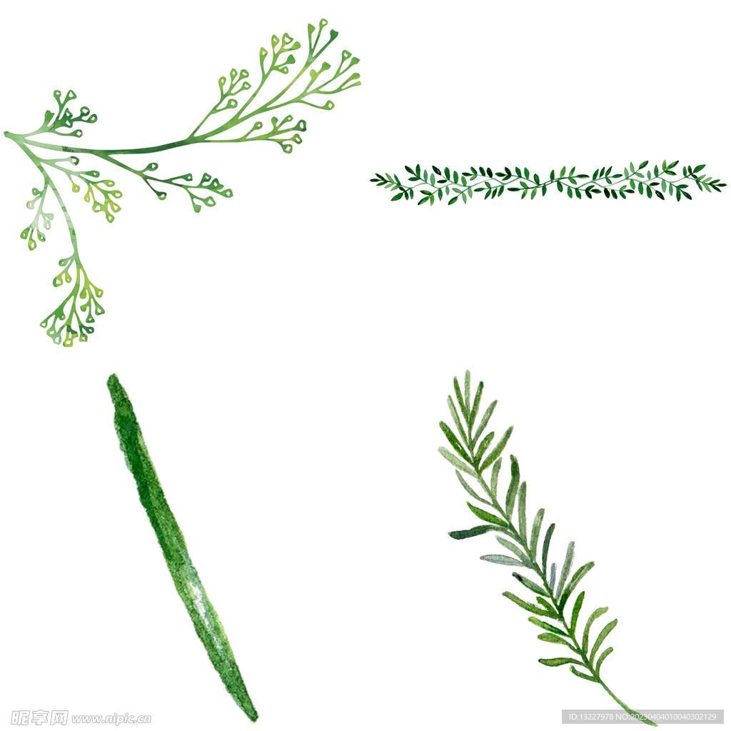 手绘叶子藤蔓  