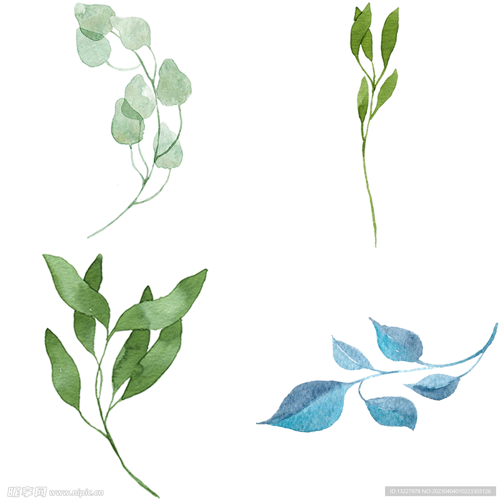 手绘叶子藤蔓  