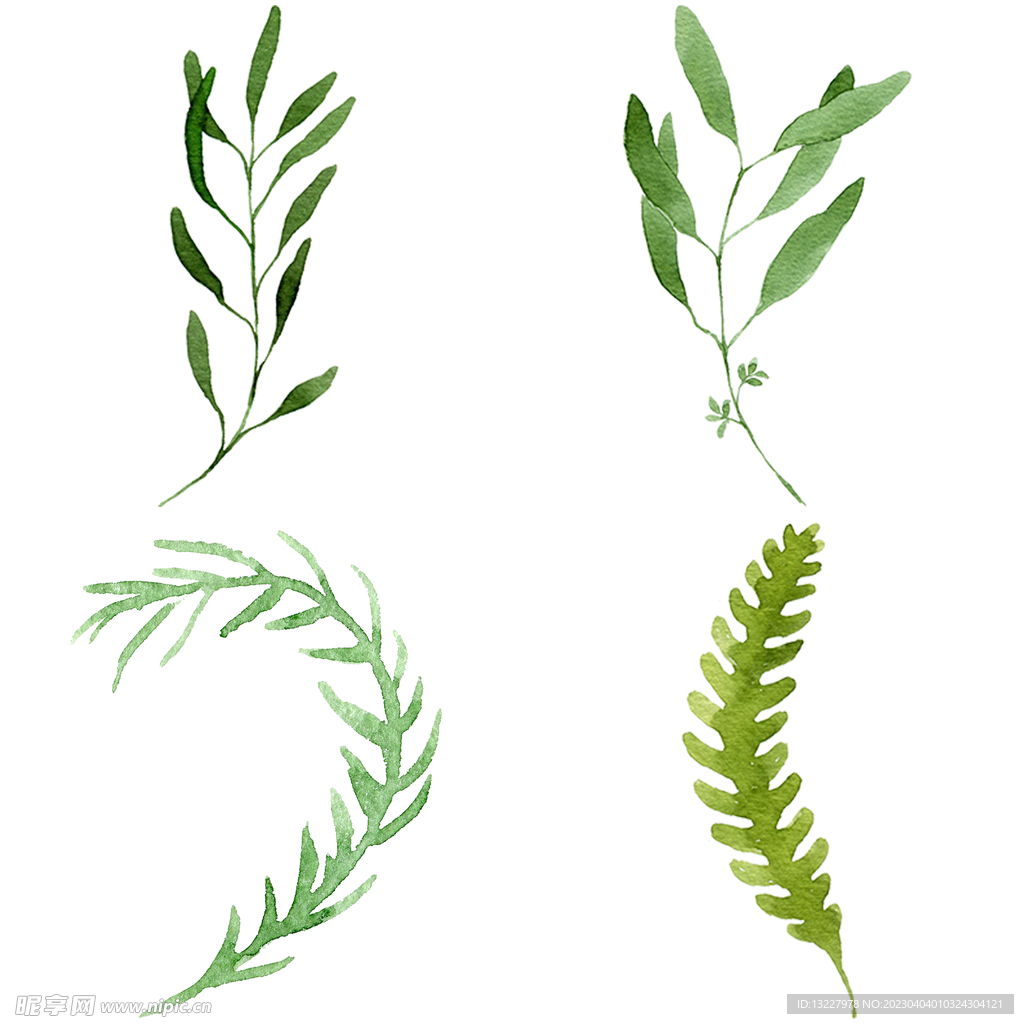 手绘叶子藤蔓  