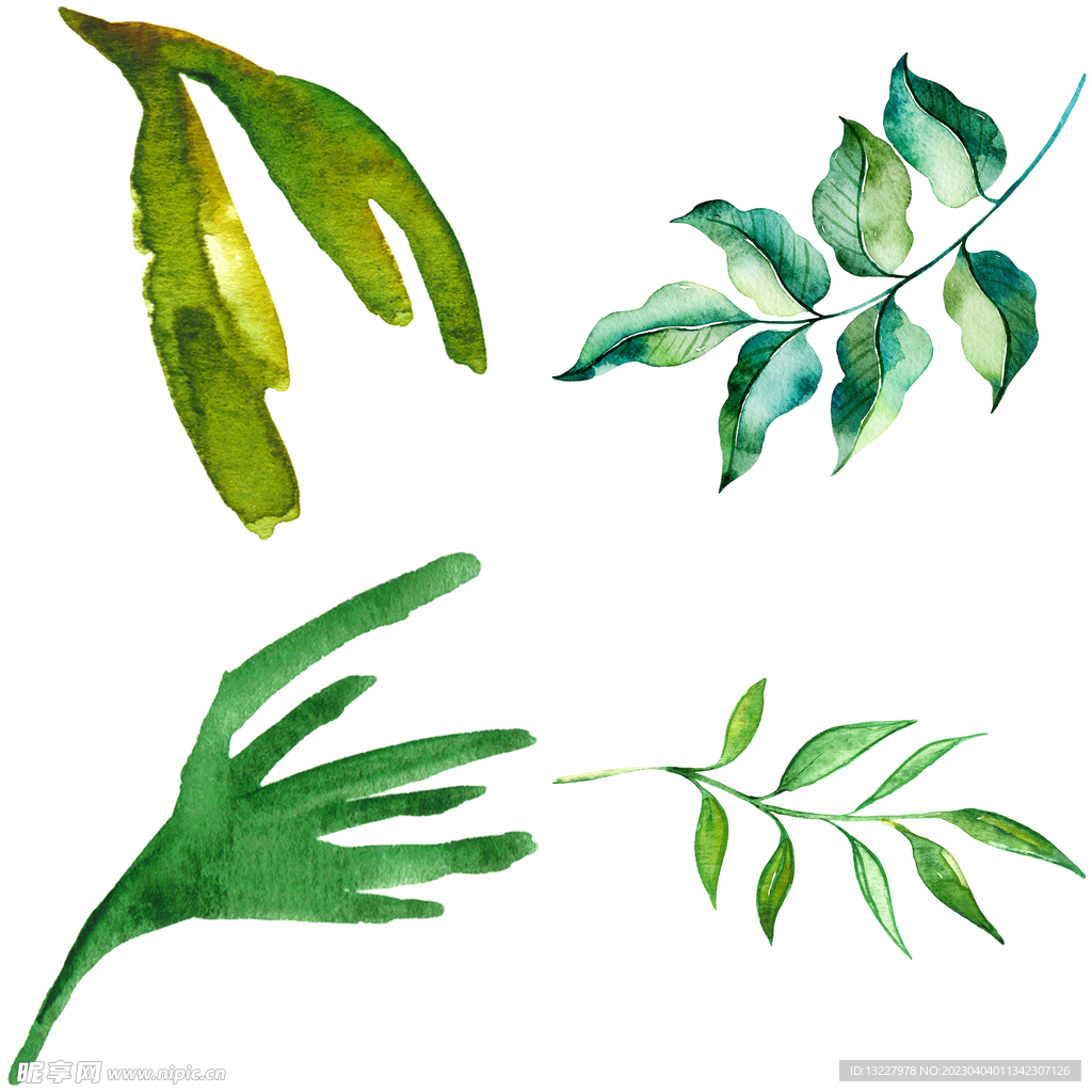 手绘叶子藤蔓