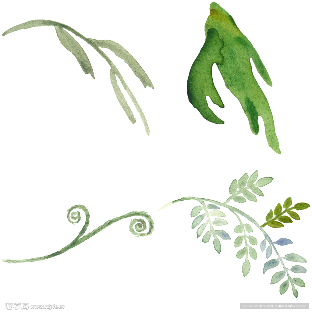 手绘叶子藤蔓  