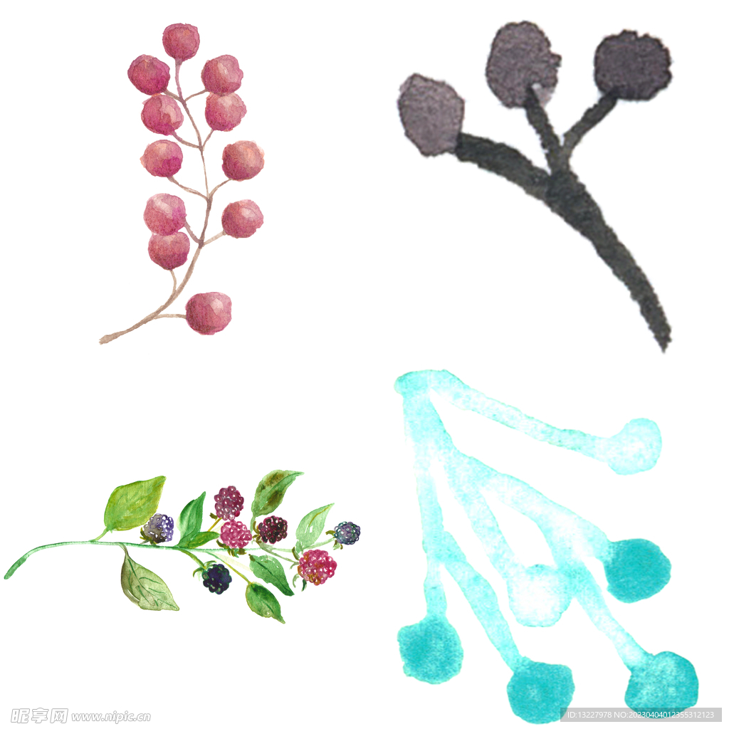 手绘浆果 