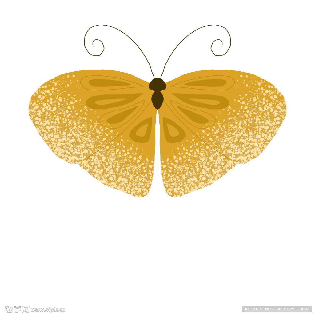 蝴蝶图案  蝴蝶 