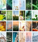 二十四节气   节气海报