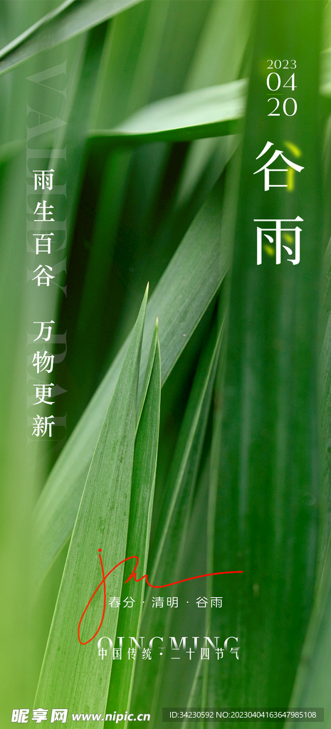 谷雨节气海报
