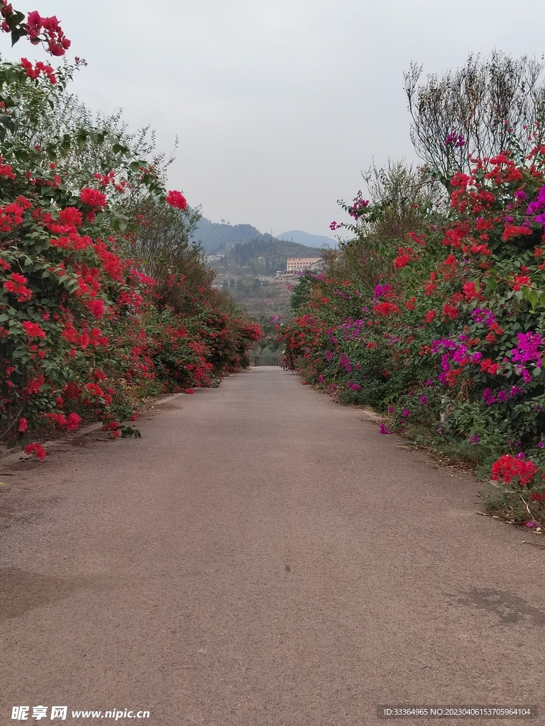 和你走过的花团锦簇