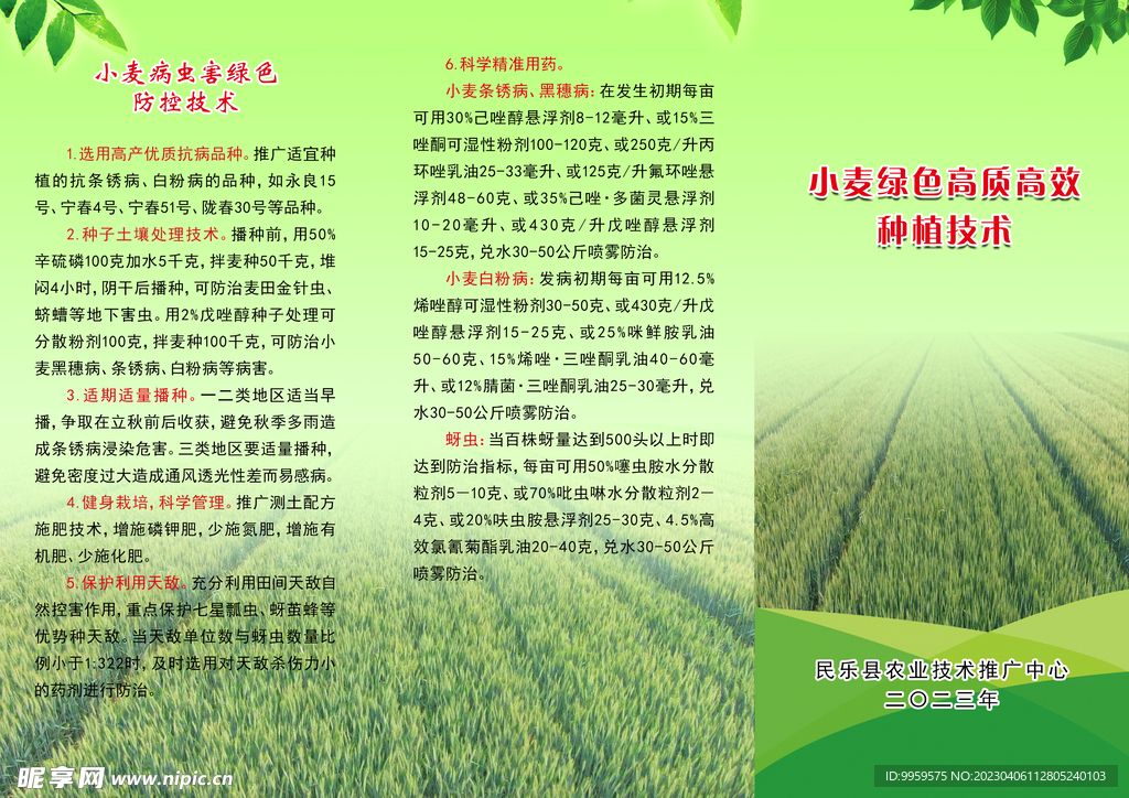 春小麦施肥技术