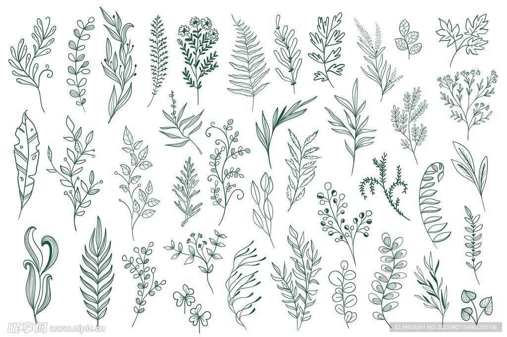 矢量手绘花草小清新设计