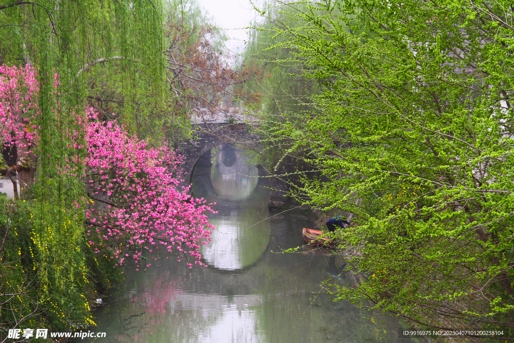扬州小秦淮河花红柳绿