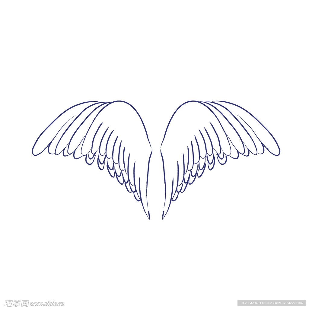 大翅膀 雄鹰翅膀  雄鹰 大鹏