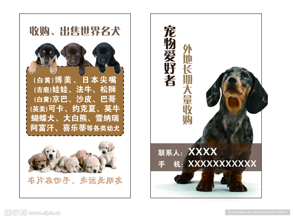 宠物名片