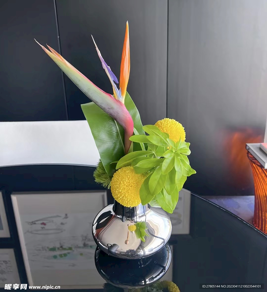 天堂鸟与乒乓菊