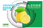 柠檬海报 