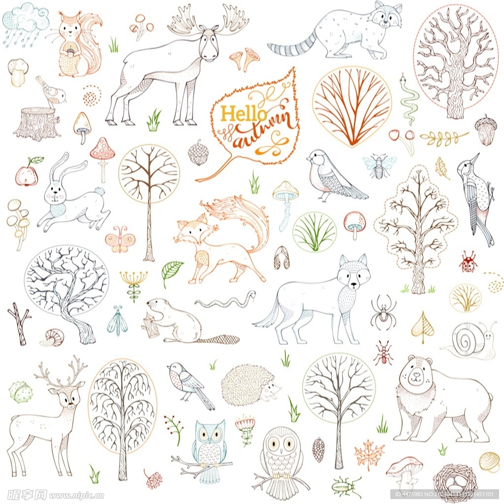 秋天动物 
