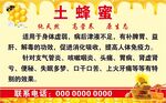 土蜂蜜海报