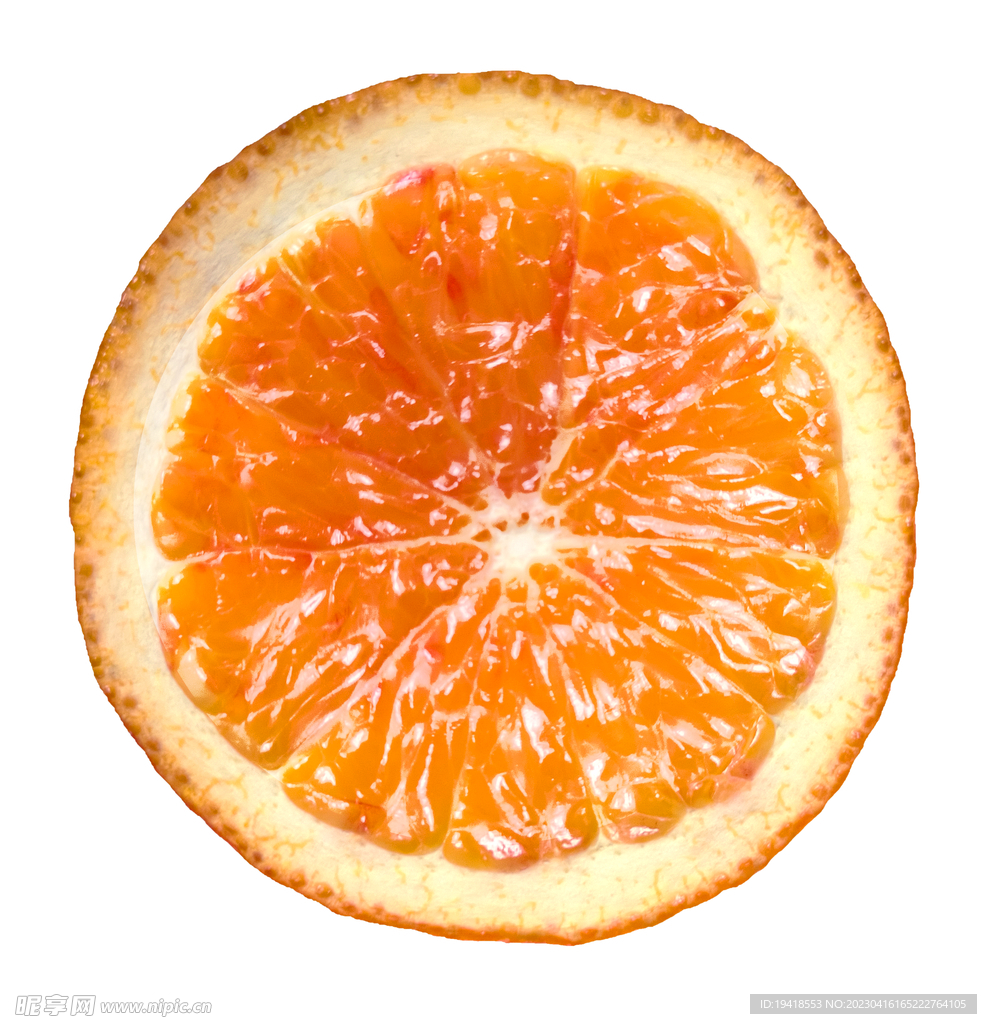 橙子新鲜切片横截面