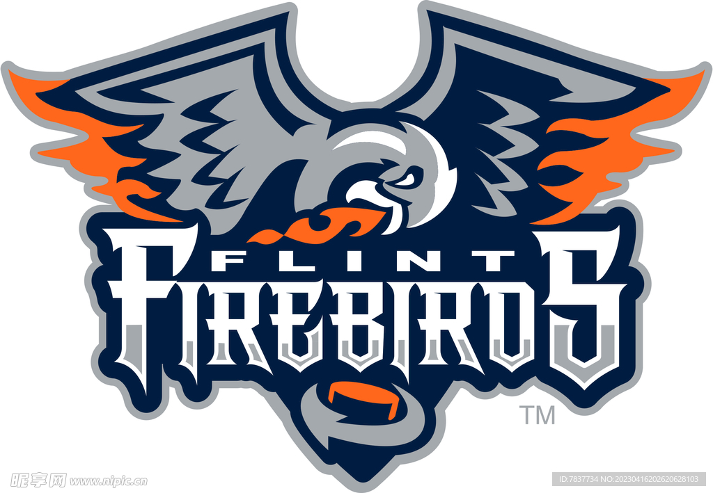 弗林特火鸟冰球队