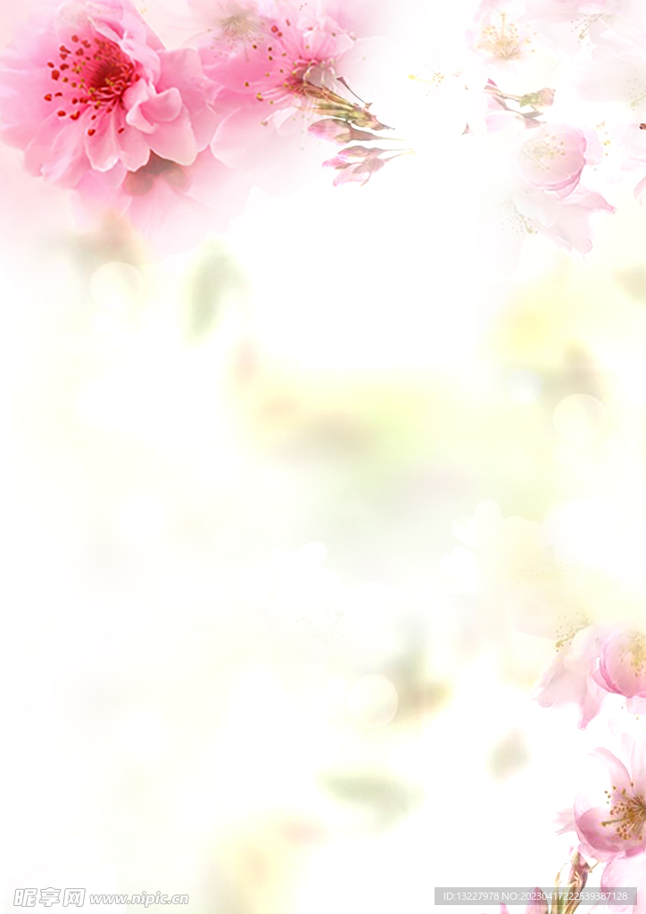 简约小清新植物背景模板