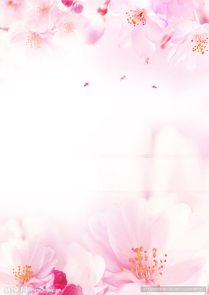 简约小清新植物背景模板