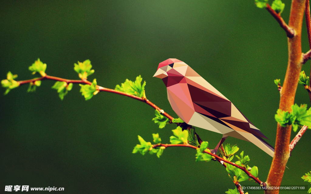 良禽择良木而栖
