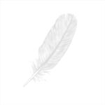 一只羽毛矢量图