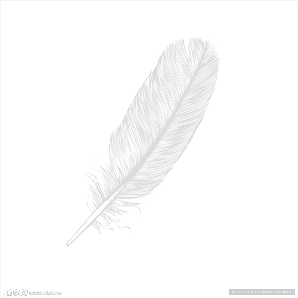 一只羽毛矢量图