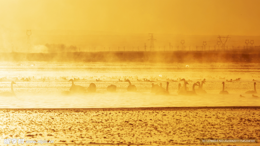 夕阳下的青海湖