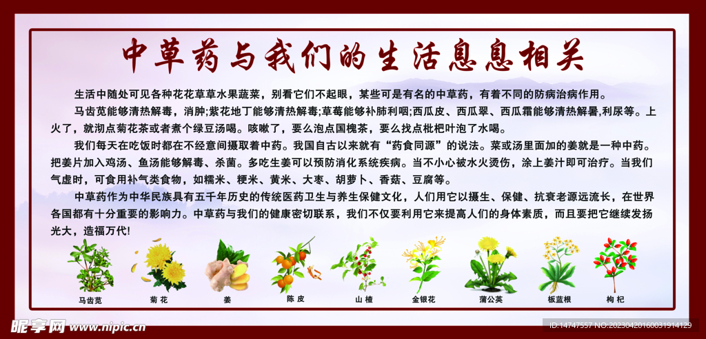 中草药与我们的生活息息相关