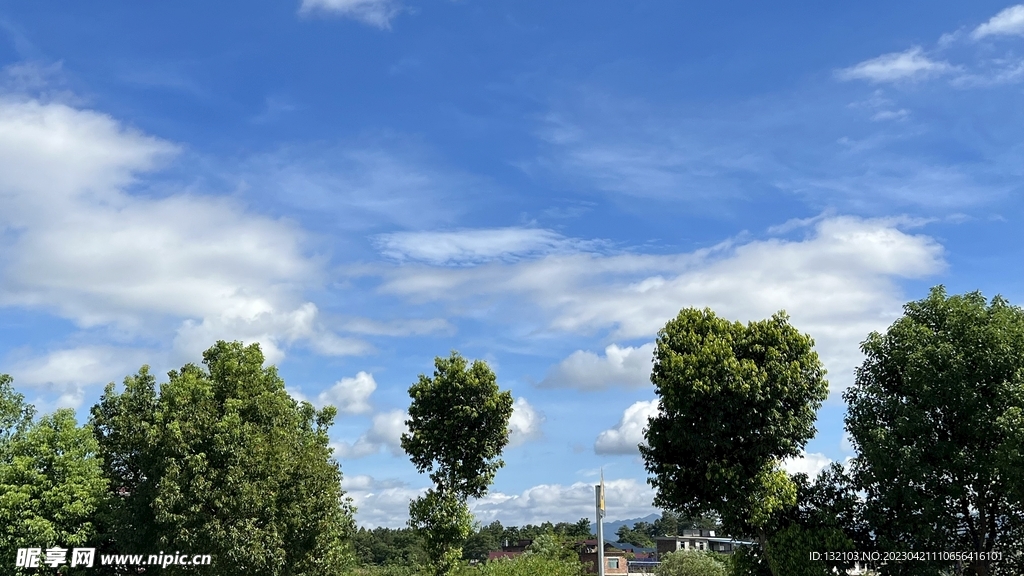 蓝天白云与树