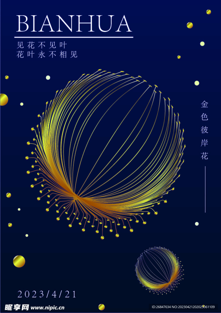 金色彼岸花海报