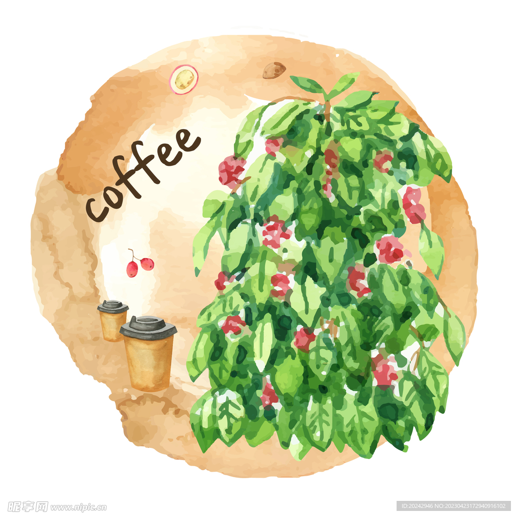 咖啡种植插画