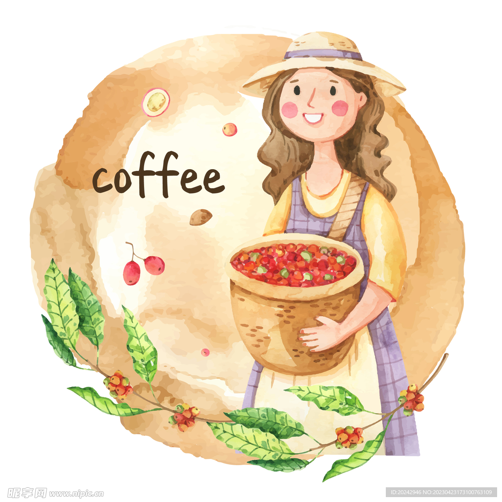 咖啡种植插画