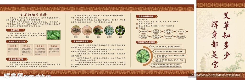 艾草海报  中医药材海报